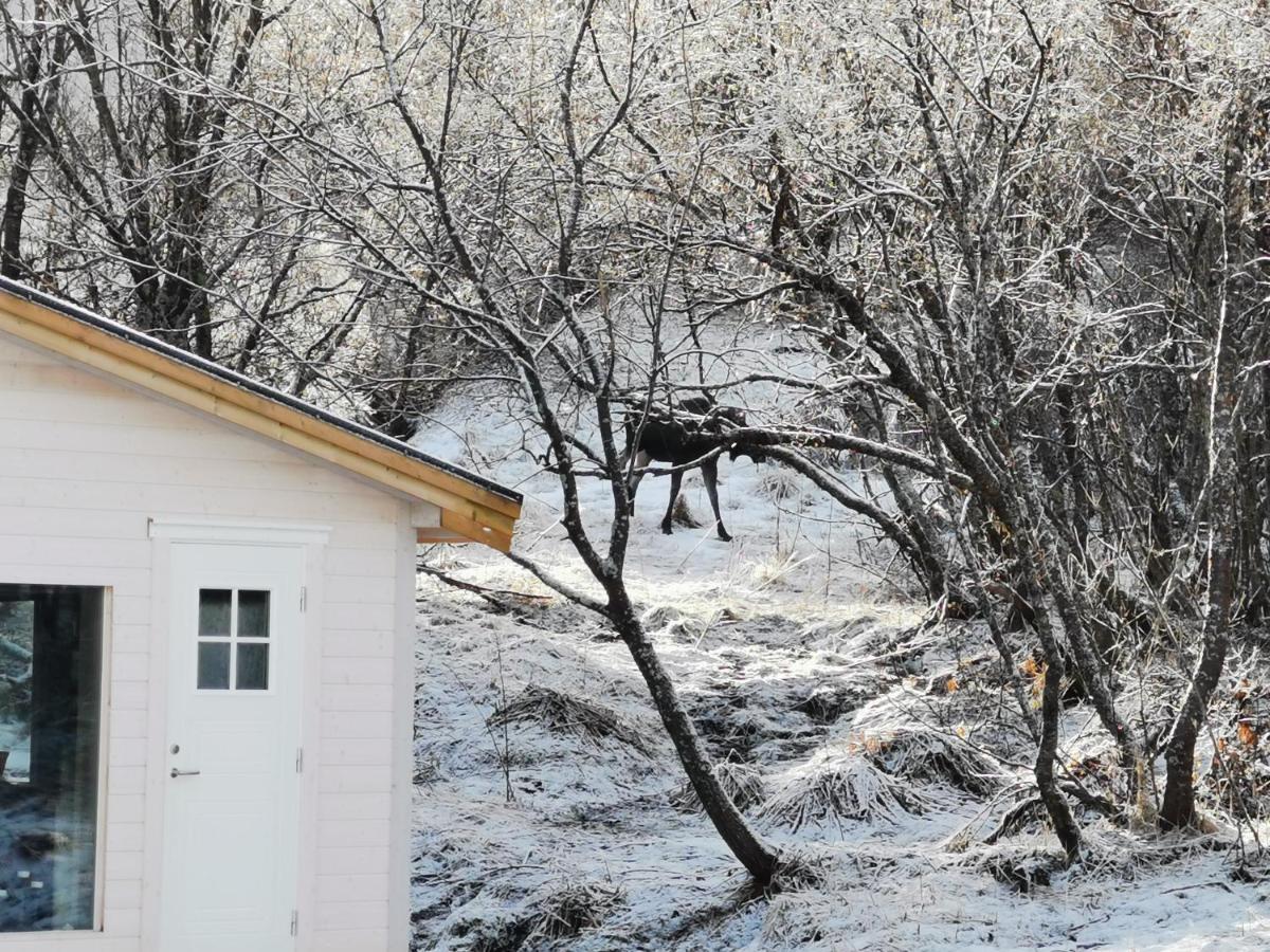 Villa Relaxing Cabin Gravdal  Exterior foto